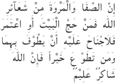 safa1.jpg (49779 bytes)