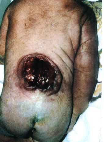 iraq6.jpg (51158 bytes)