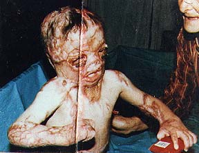 pali_pic14.jpg (17576 bytes)