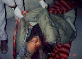 pali_pic3.jpg (9192 bytes)