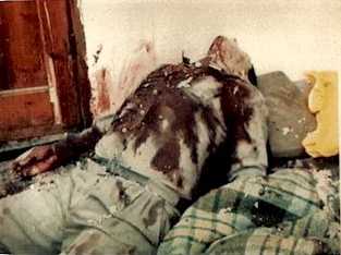 pali_pic5.jpg (11818 bytes)